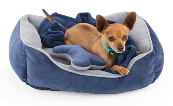 EveryYay Essentials Dog Bed Bundle, S, Navy