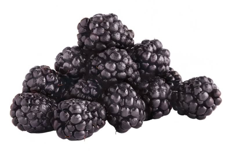 Blackberries