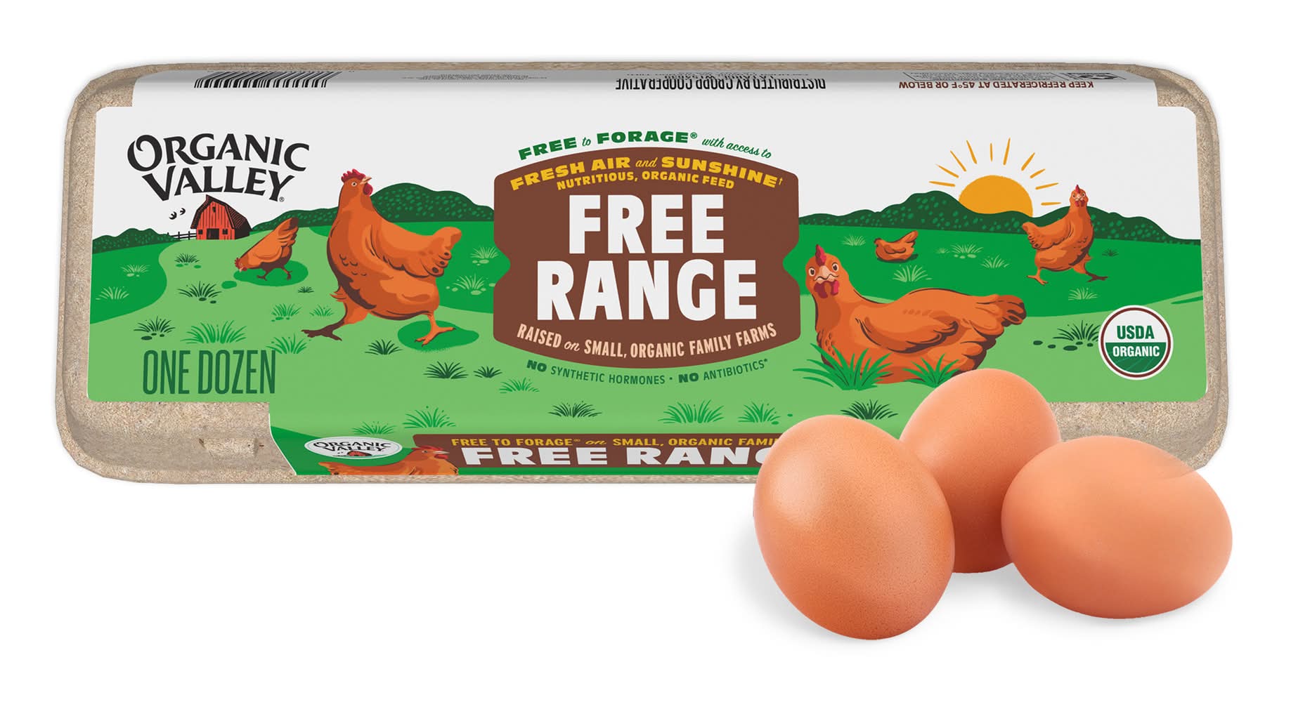 Organic Valley Grade a Eggs, L, Brown (12 ct)