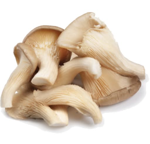 Mushrooms Oyster 150g
