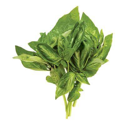 Basil Herb (100 g)