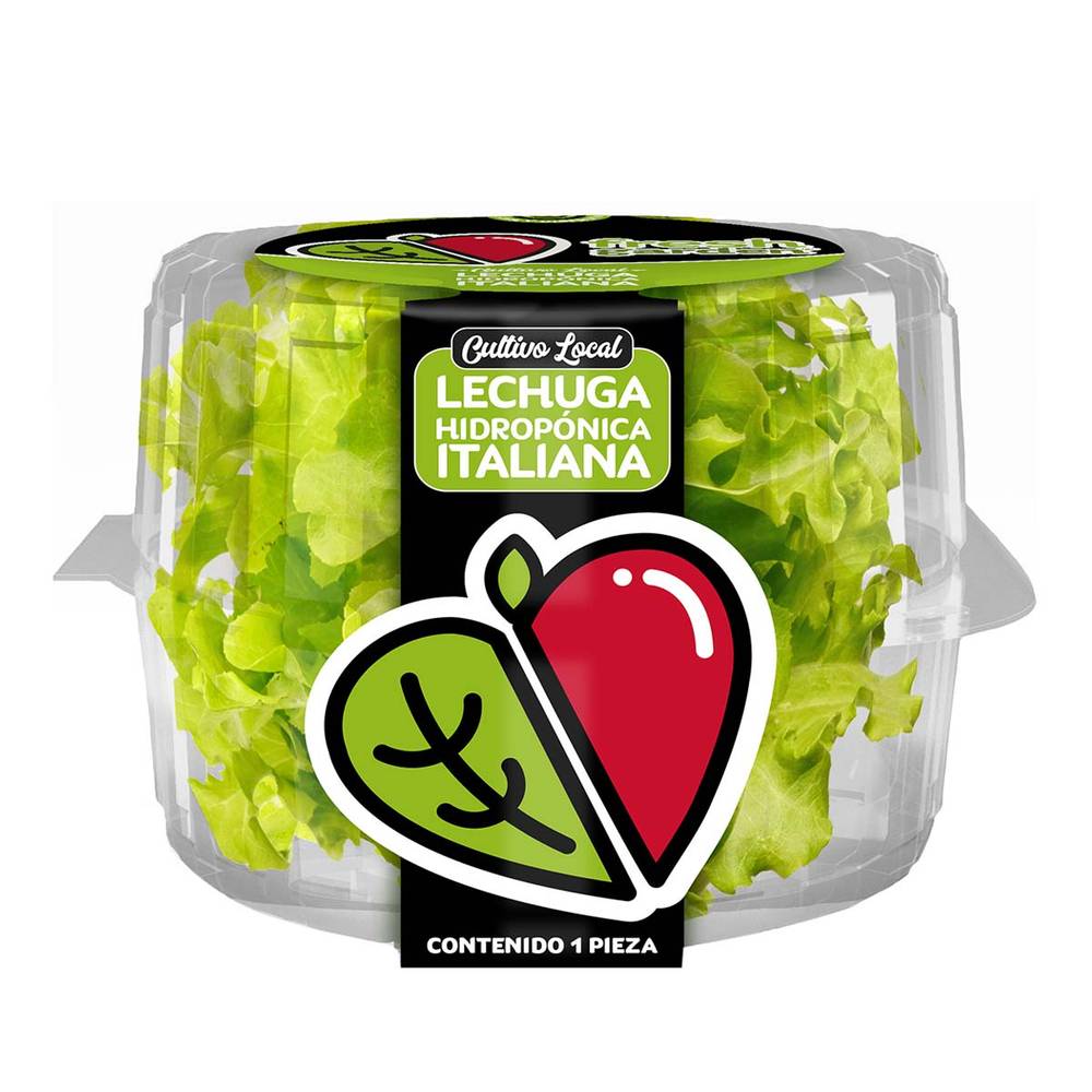 Fresh Garden · Lechuga hidropónica italiana (300 g)