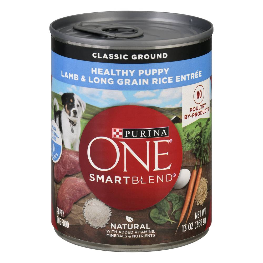 Purina One Smartblend Classic Ground Lamb & Long Grain Rice Entree Dog Food (13 oz)