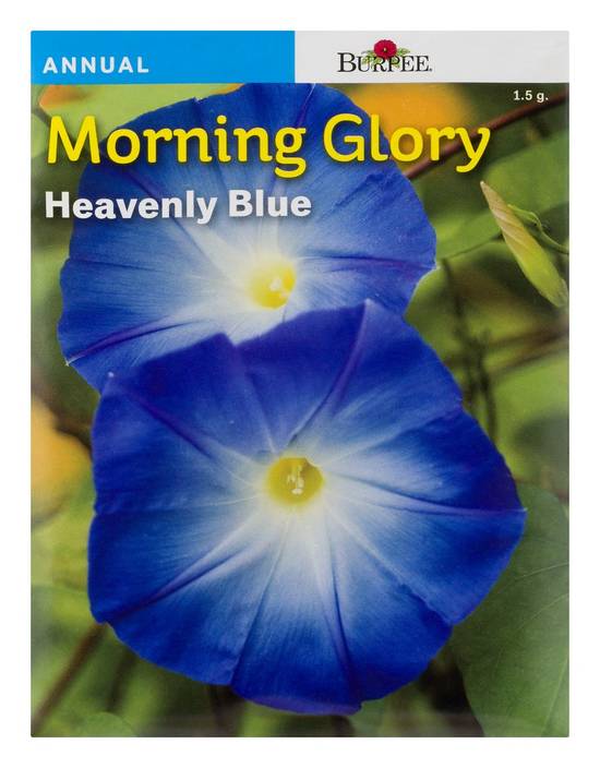 Burpee Heavenly Blue Morning Glory