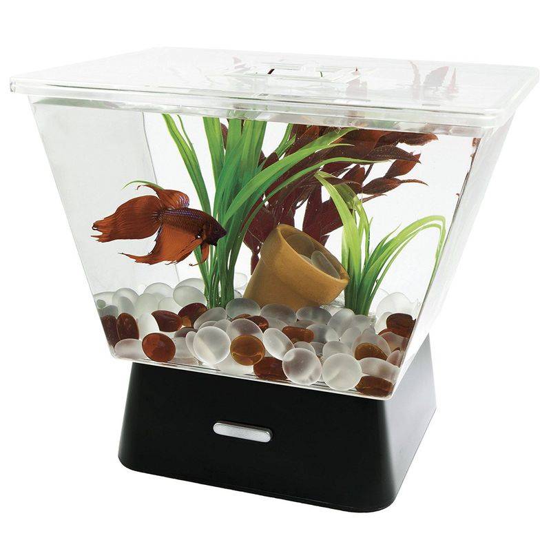 Tetra LED Flared Cube Kit, 1 Gallon