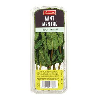 Irresistibles · Menthe (21 g) - Mint (21 g)