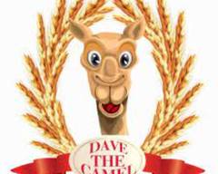 Dave The Camel