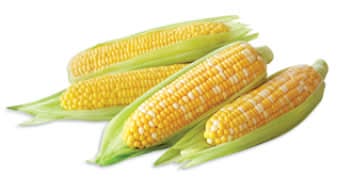 Corn Yellow Trimmed Pack 4 Count - Each