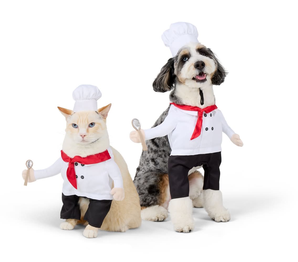 Thrills & Chills® Chef Dog Costume (Color: Multi Color, Size: X Small)