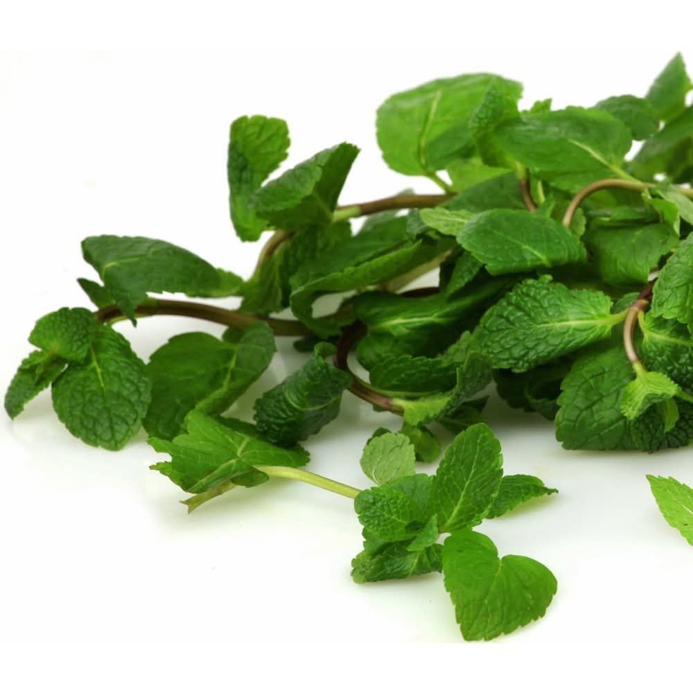 Menthe - le sachet de 20g