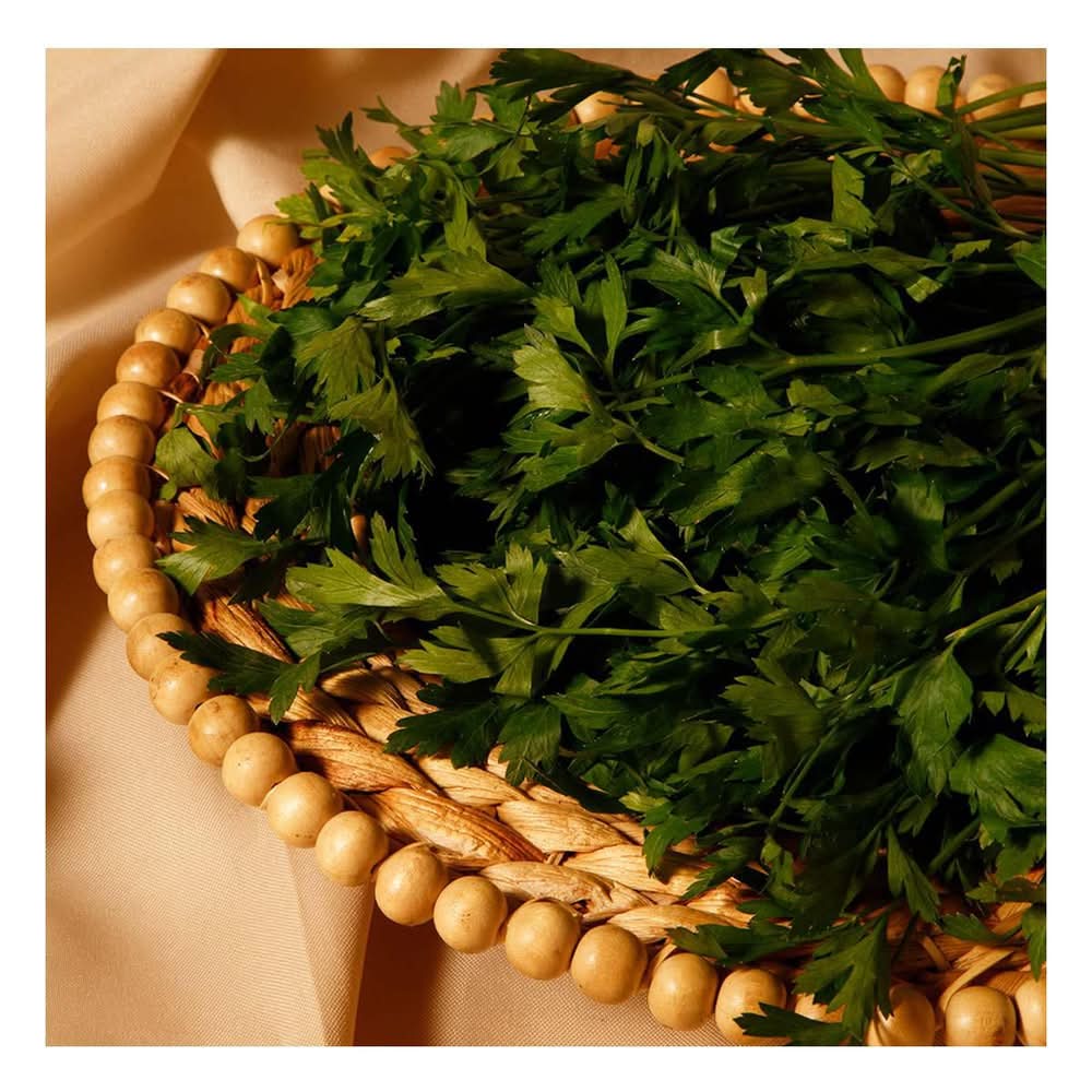 Manojo de perejil liso