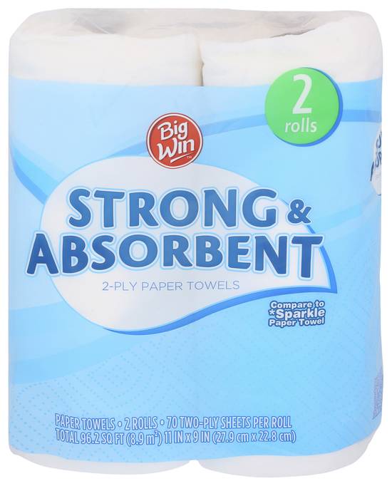 Big Win Strong & Absorbent 2 ply Paper Towels - 2 pack