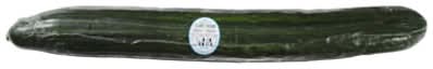 Cucumber Long Hot House English