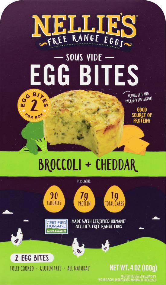 Broccoli Cheddar Egg Bites - Mad About Food