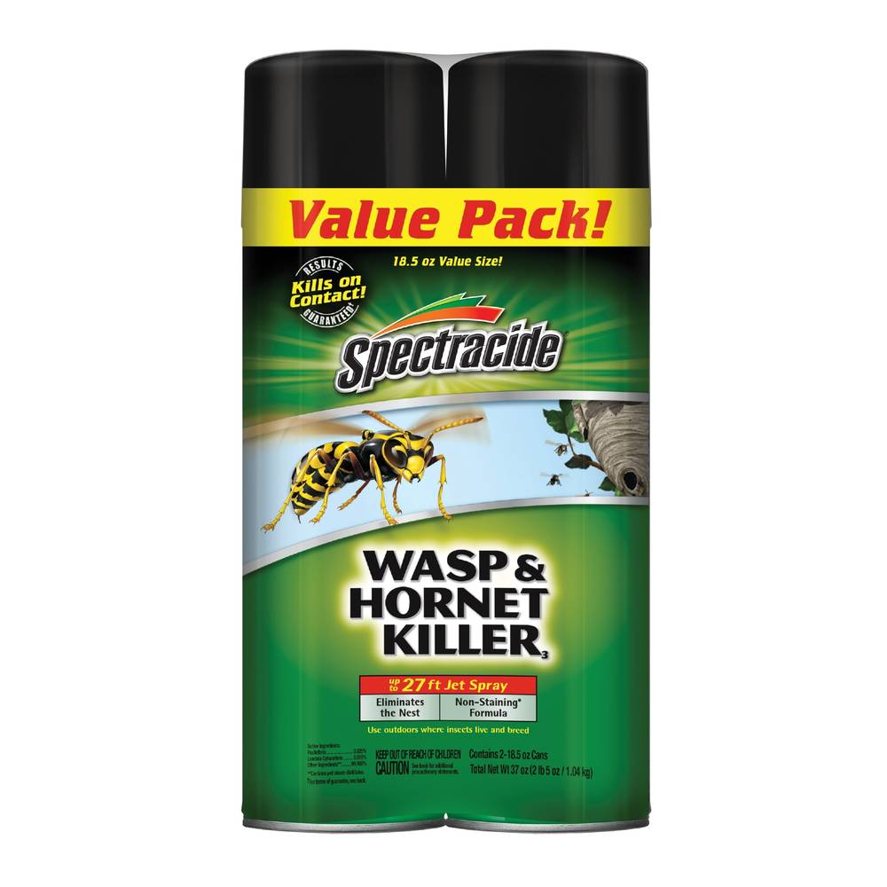 Spectracide 18.5-oz Wasp and Hornet Insect Killer Aerosol (2-Pack) | HG-27221