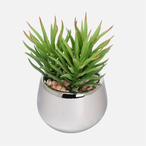 Tower & Tagus Pointed Succulent Silver Ball