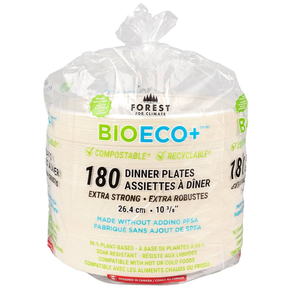 Forest For Climate Disposable Dinner Plate 10.39 In. 180-Pack