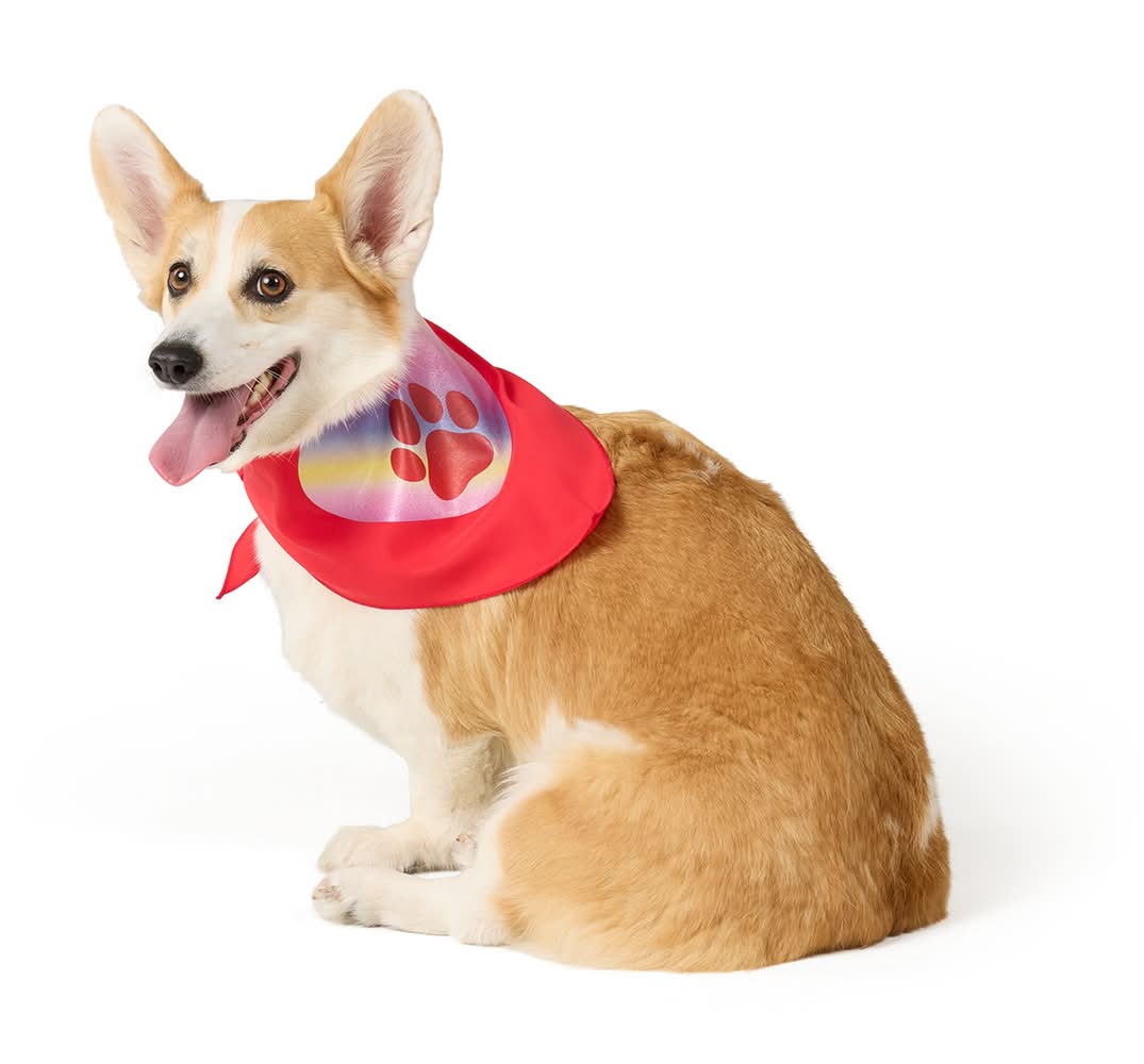 Top Paw® Vday Bandana (Color: Red, Size: X Large)
