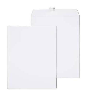 Staples Gummed Catalog Envelopes, 10L x 13H, White, 100/Box (295840N)