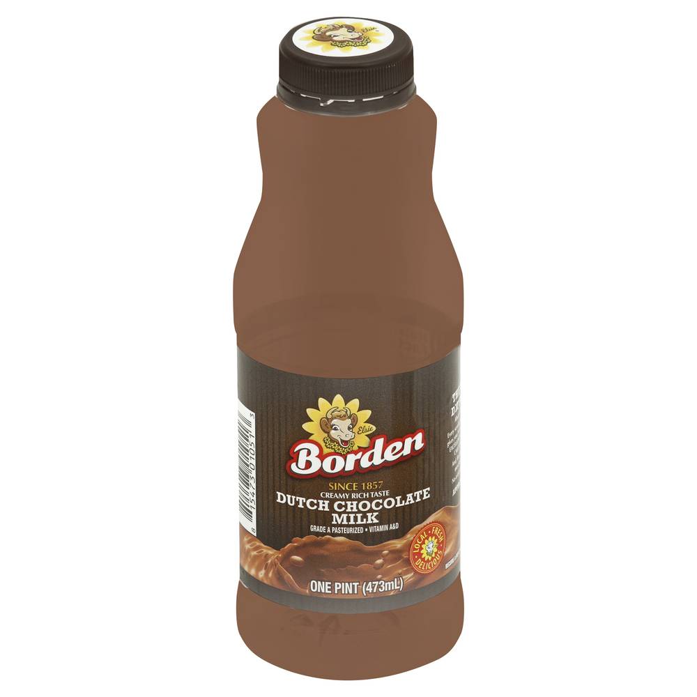 Borden Dutch Milk, Chocolate (473 ml)