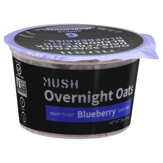 Blueberry Overnight Oats Mush 5 oz