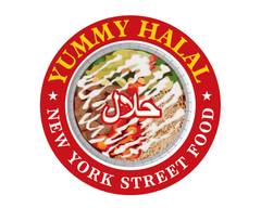 New York Street Food Yummy Halal (District Hts MD)