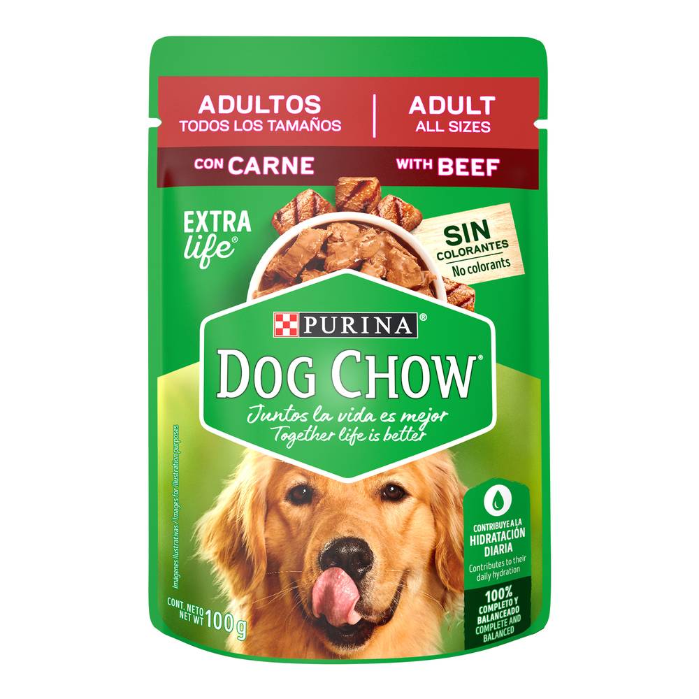 Dog chow alimento húmedo para perro adulto sabor carne (sobre 100 g)