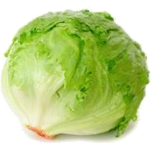 Lettuce Box Iceberg