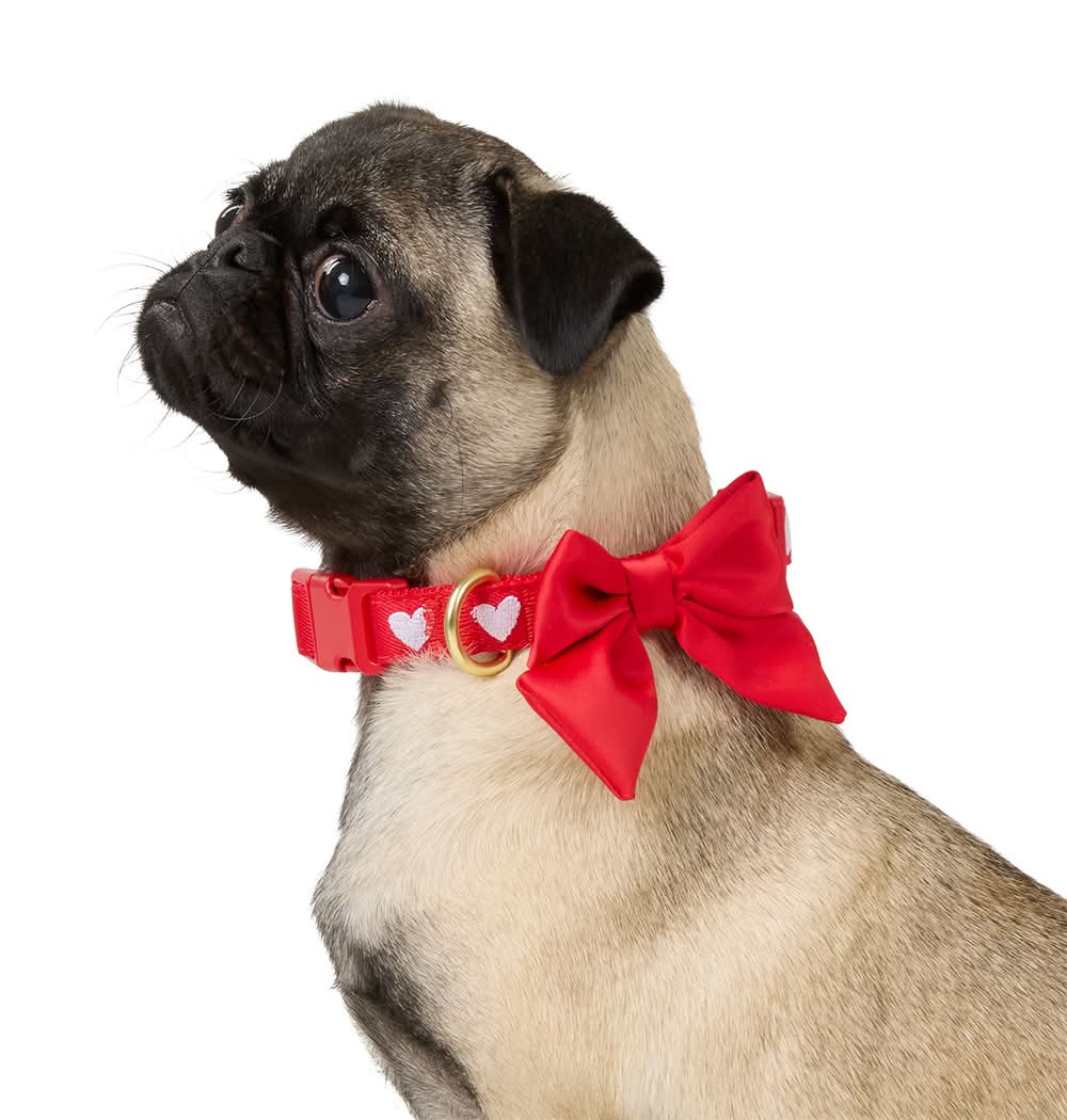Top Paw® Valentines Day White Hearts Collar (Color: Red, Size: Medium)