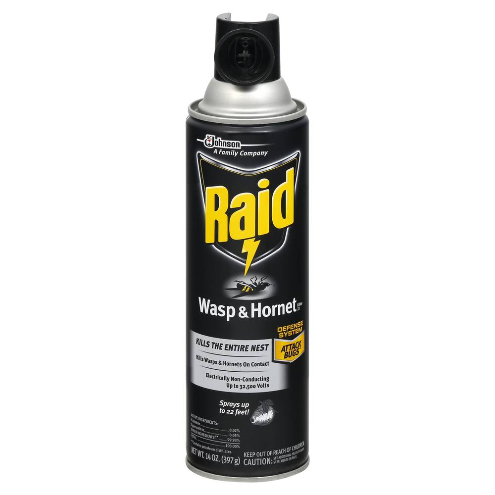 Raid Wasp & Hornet Killer 33 (14 oz)