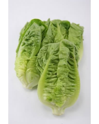 Lettuce Cos 2pk