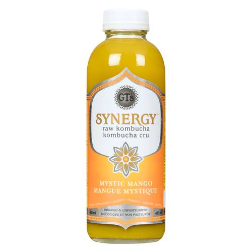 GT's Organic Raw Kombucha Synergy Mystic Mango 480 ml