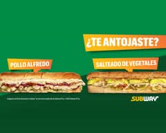 Subway Multiflores