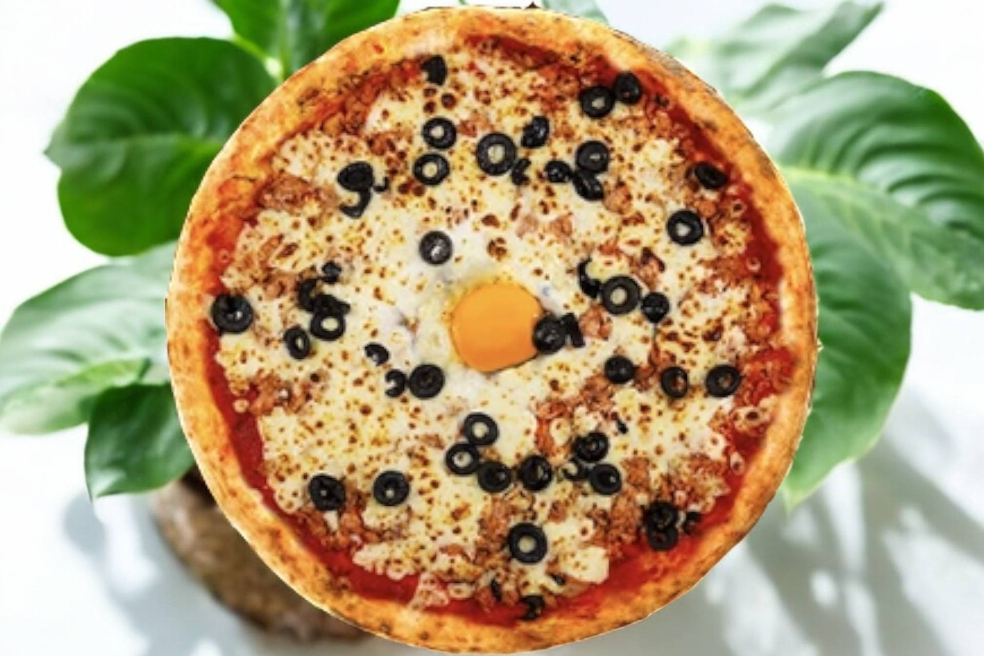🍕Pizza pêcheur
