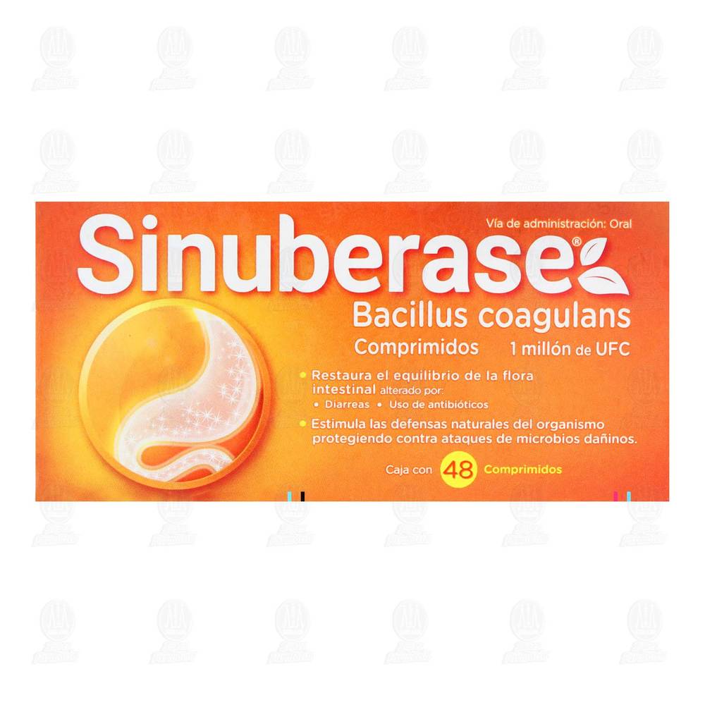 Sinuberase · Bacillus coagulans comprimidos (48 un) (48 un)