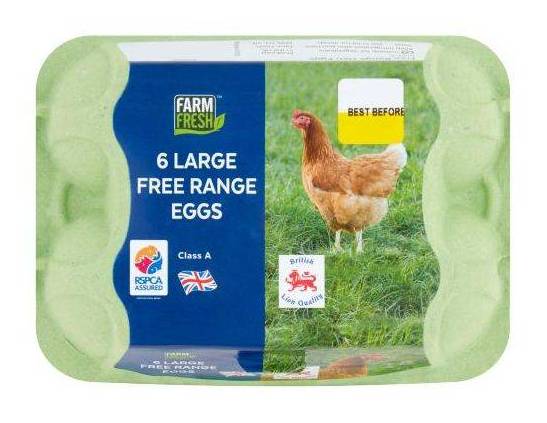 Free Range Egg 6 Large