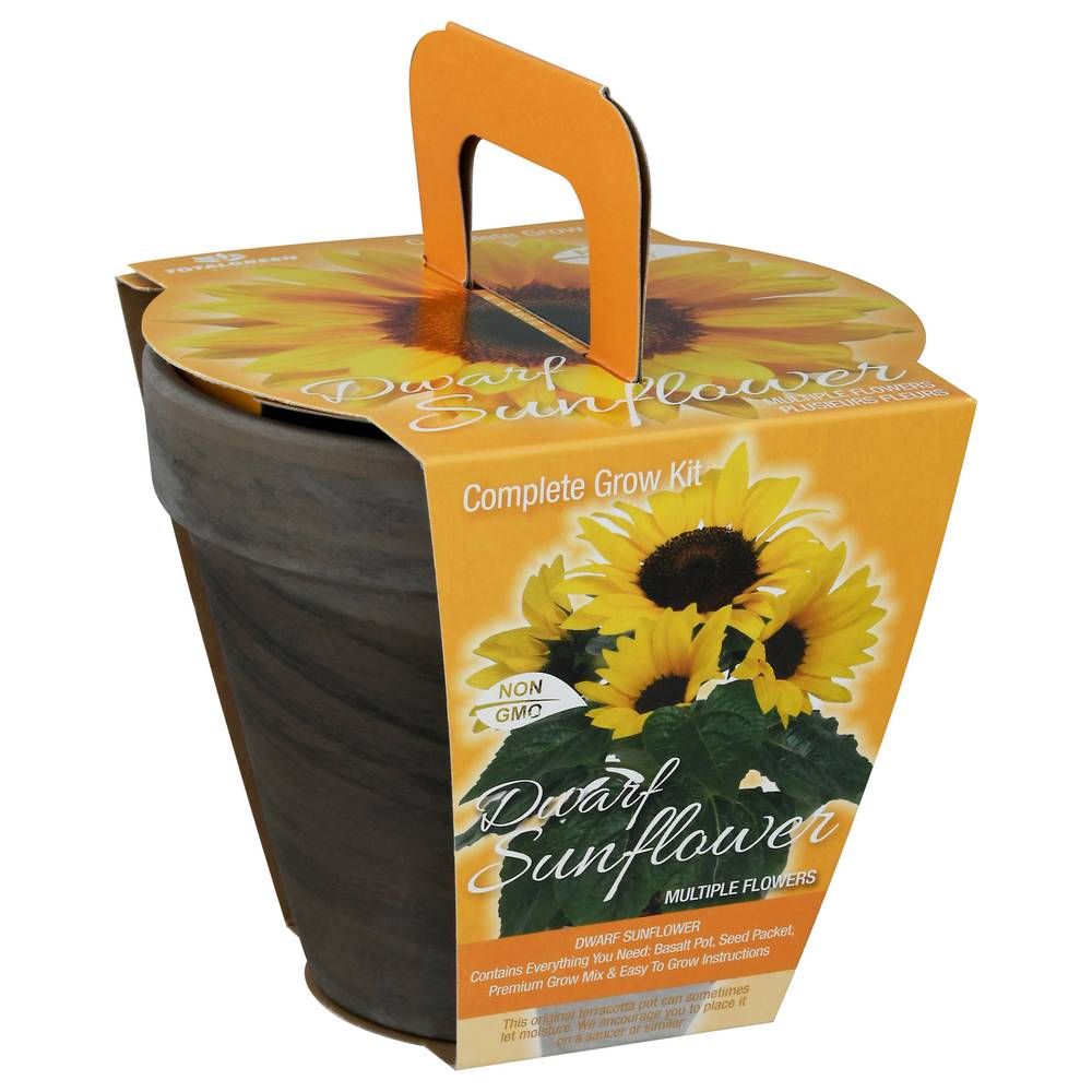 TotalGreen Holland Dwarf Sunflower Complete Grow Kit