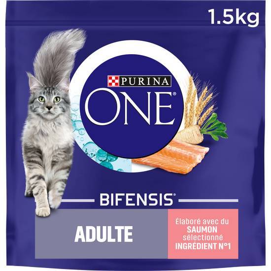 Purina one chat adulte