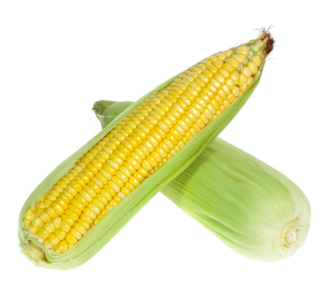 Sweet bicolor corn