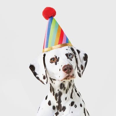 Boots & Barkley Birthday Headwear Dog Hat, One Size Fits Most