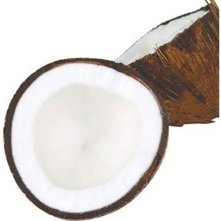 Coconut