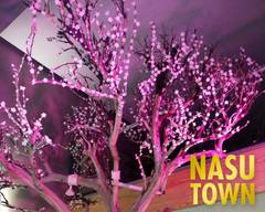 Nasu Town 