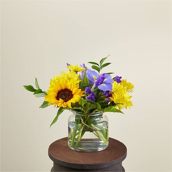 Order Flutter By food online from Proflowers store, Novato on bringmethat.com