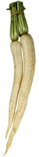 White Raddish