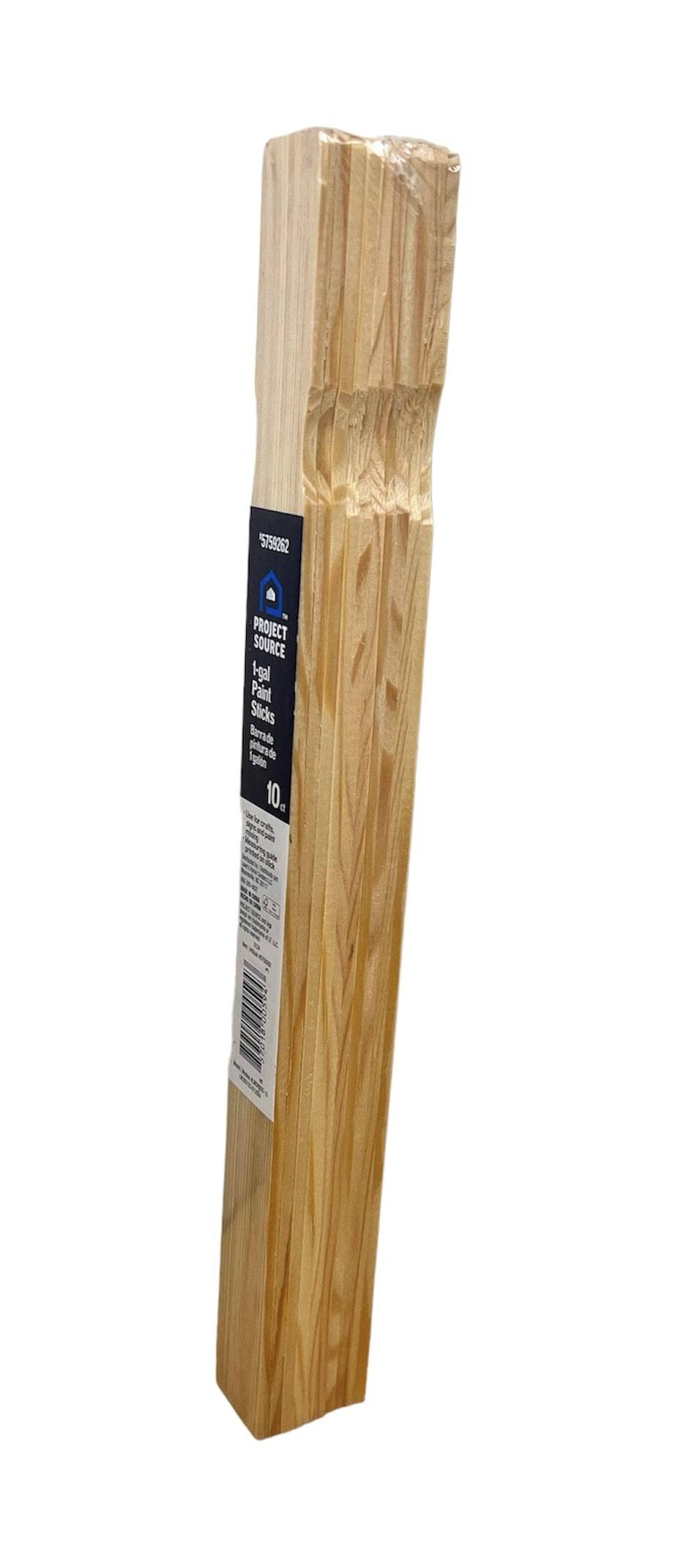 Project Source 1 Gal Paint Stick 10 Pack | LWSPROS-10