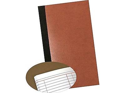 Staples 182022abf Dollar and Cent Accounting Journal (brown)