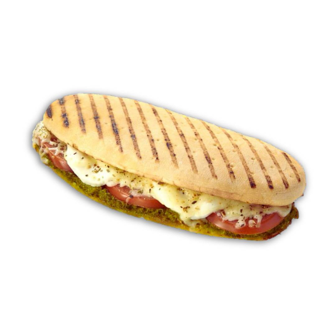 Turkey Panini