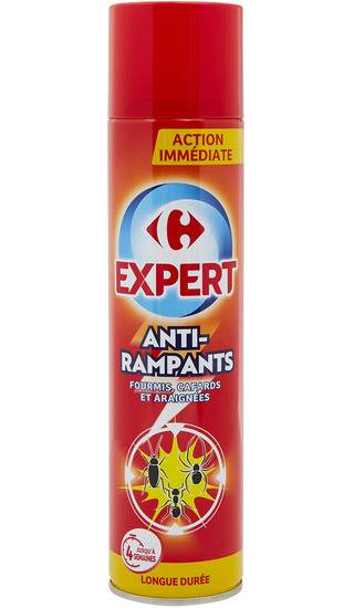 Carrefour Expert - Insecticide anti rampants