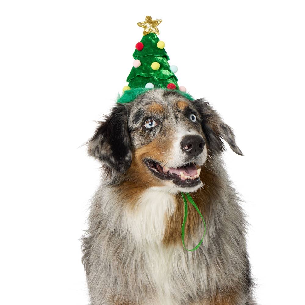 Merry & Bright Tree Holiday Headpiece For Dogs, S/M, Green