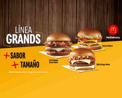 McDonald's Benito Juarez 